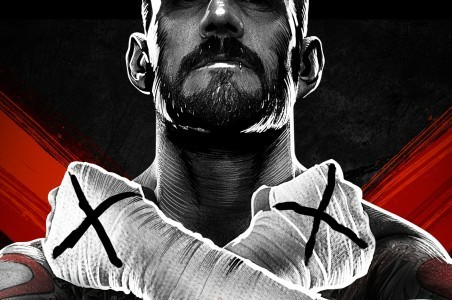 WWE 13