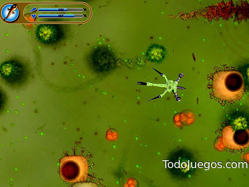 Spore