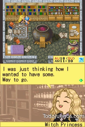 Harvest Moon DS