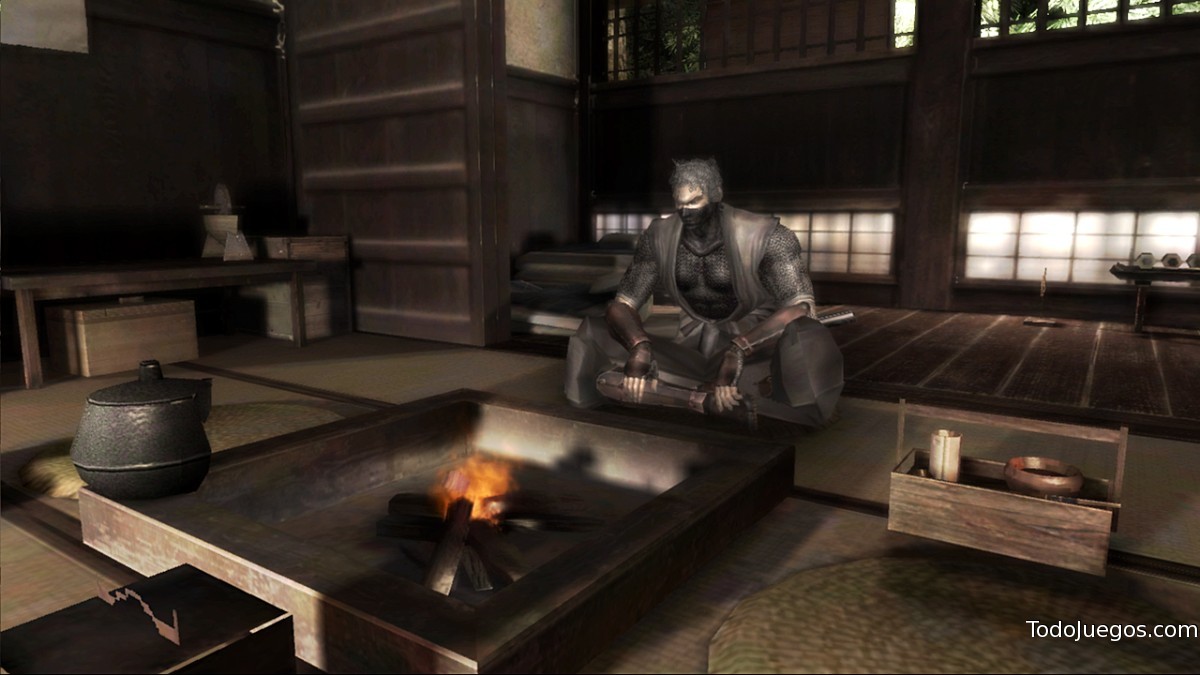 Tenchu Z