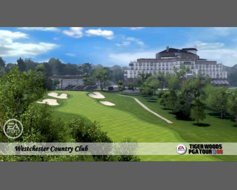 Tiger Woods PGA TOUR 08