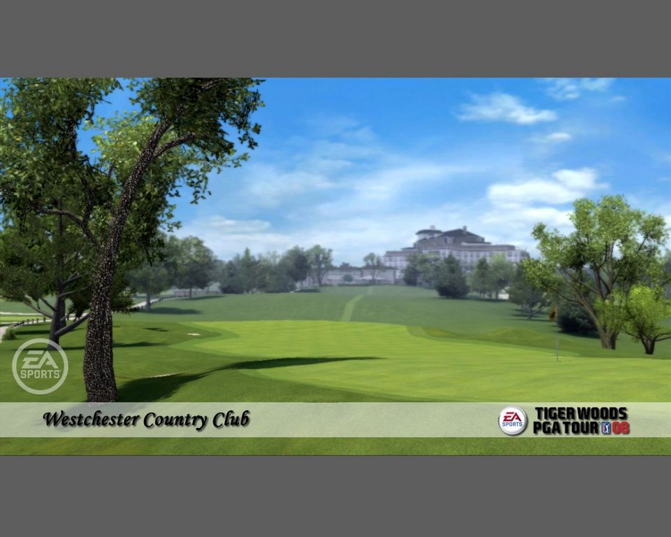 Tiger Woods PGA TOUR 08