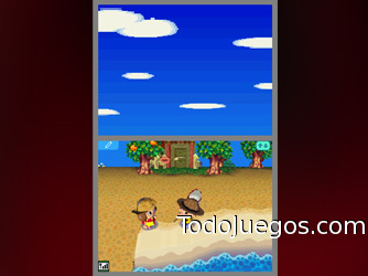 Animal Crossing: Wild Forest (Nintendo DS)