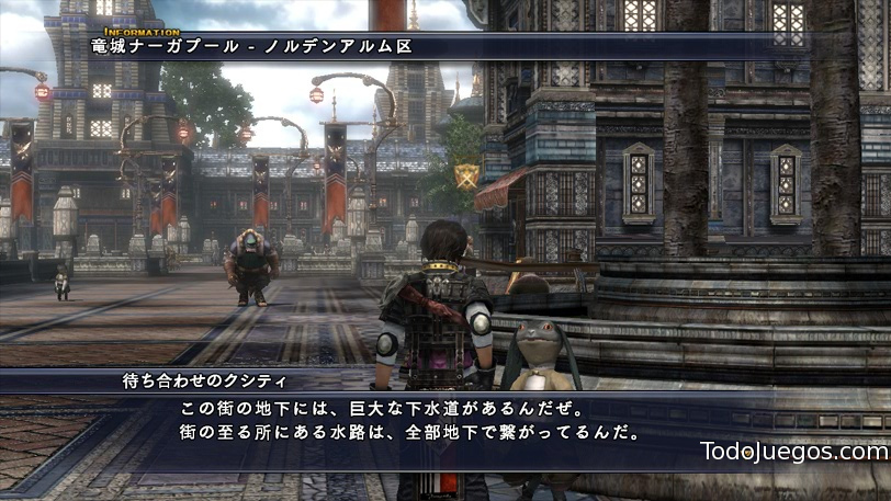 The Last Remnant