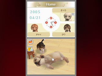 Nintendogs (Nintendo Ds)
