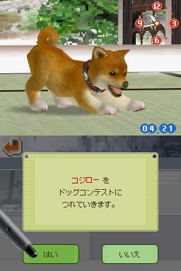 Nintendogs: Teckel y Compañía - Imagen 26