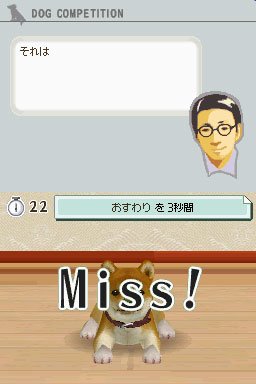 Nintendogs: Teckel y Compañía - Imagen 32