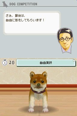Nintendogs: Teckel y Compañía - Imagen 28