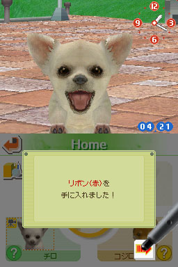 Nintendogs: Teckel y Compañía - Imagen 38