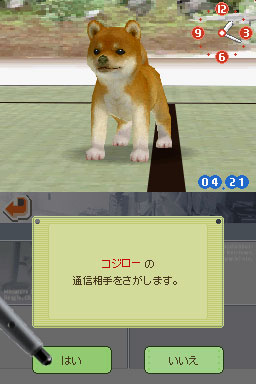 Nintendogs: Teckel y Compañía - Imagen 40