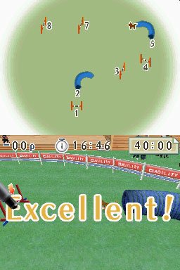 Nintendogs: Teckel y Compañía - Imagen 29
