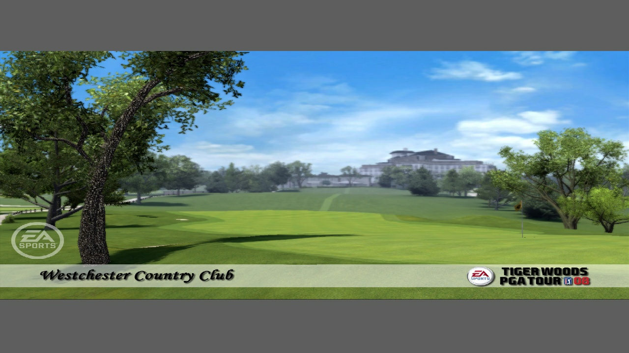 Tiger Woods PGA TOUR 09