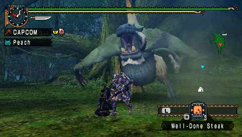 Monster Hunter Freedom Unite - Imagen 2