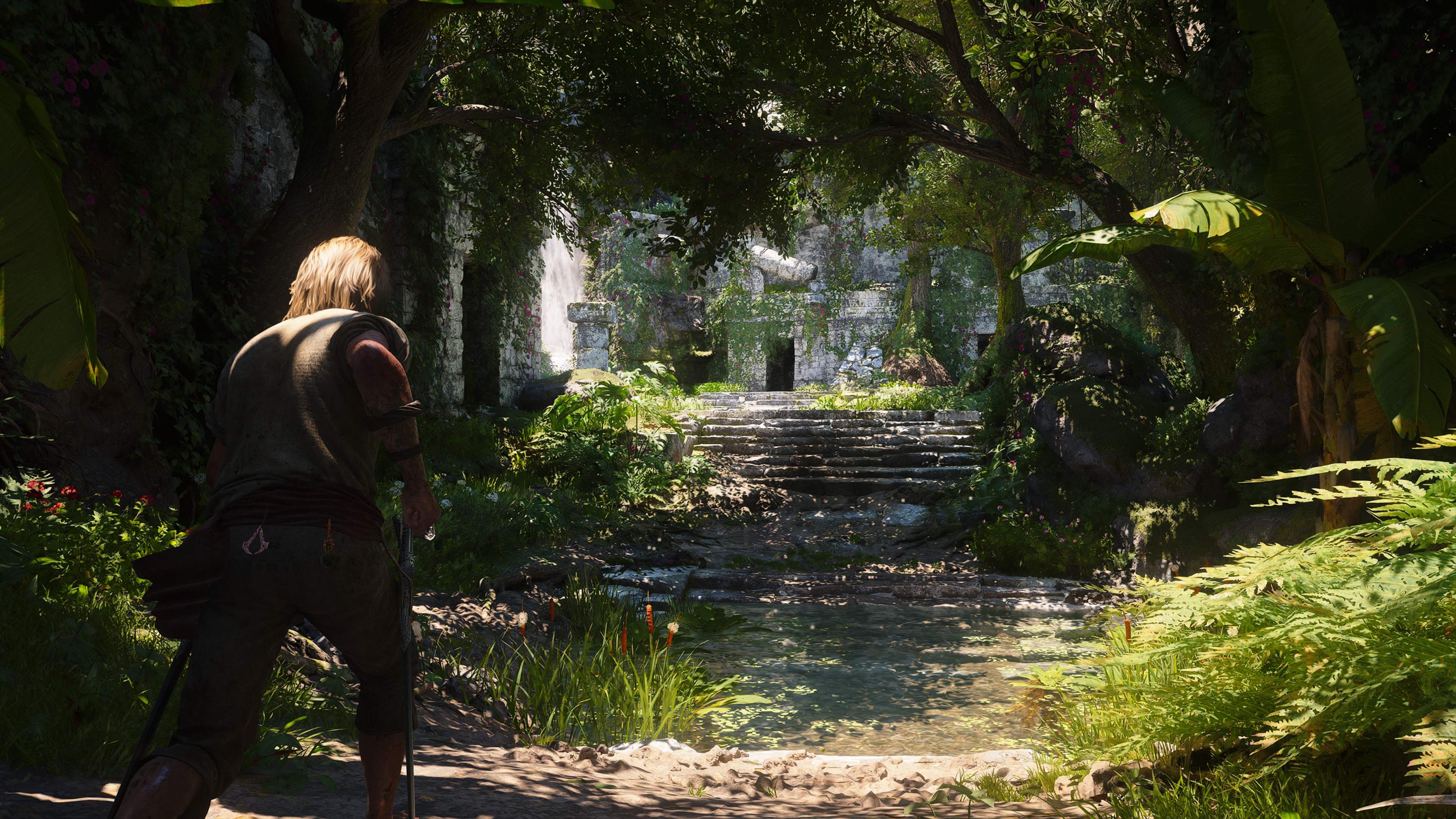 Assassin´s Creed Black Flag Resynced - Imagen 1