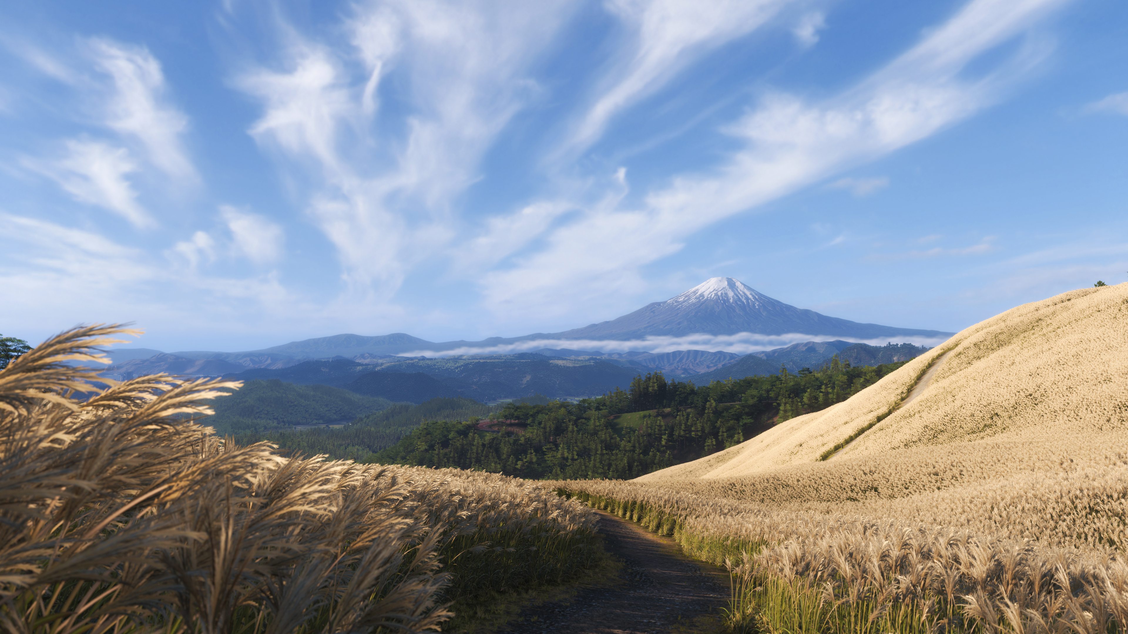 Forza Horizon 6 - Imagen 21