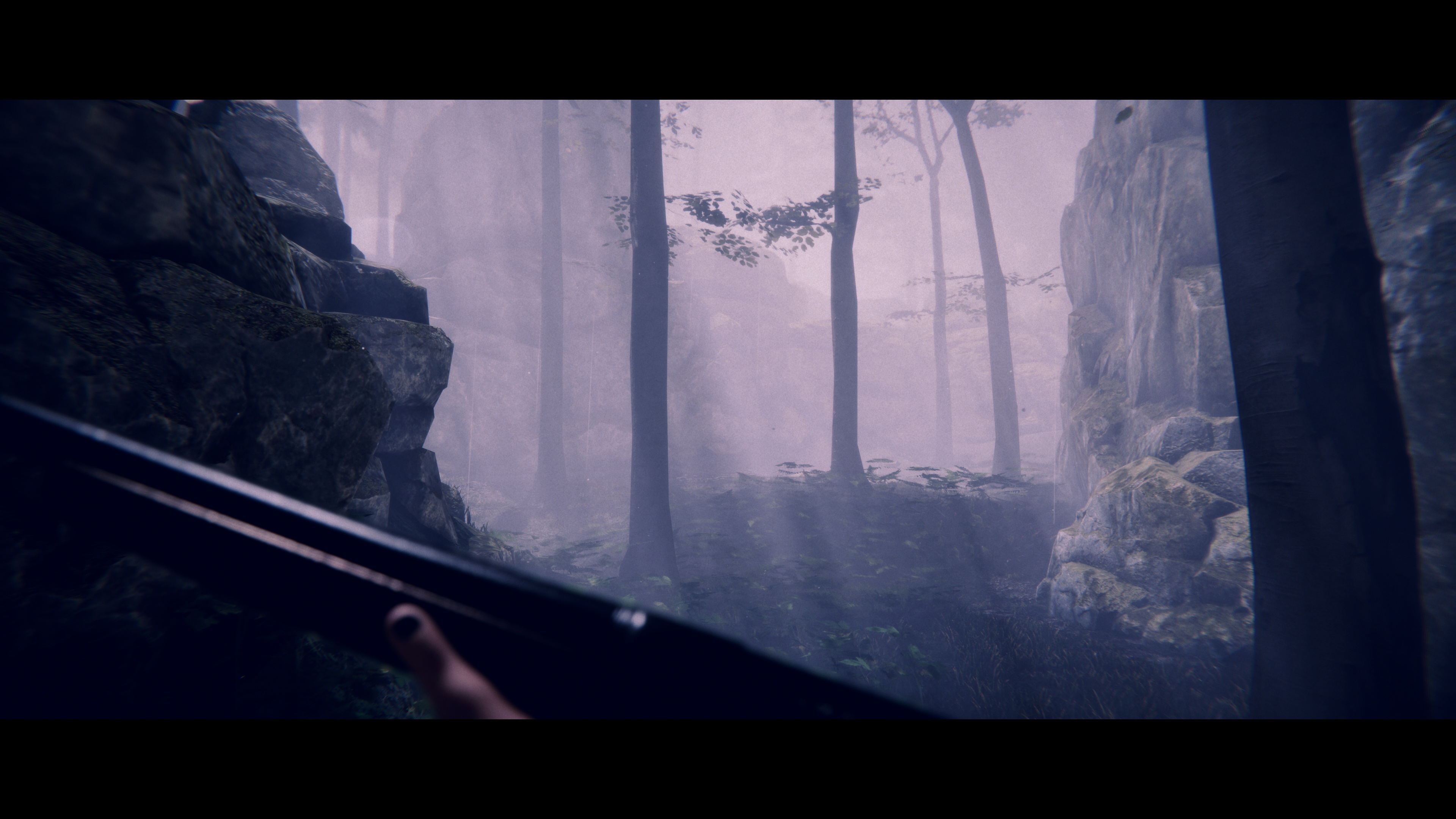 Project Songbird