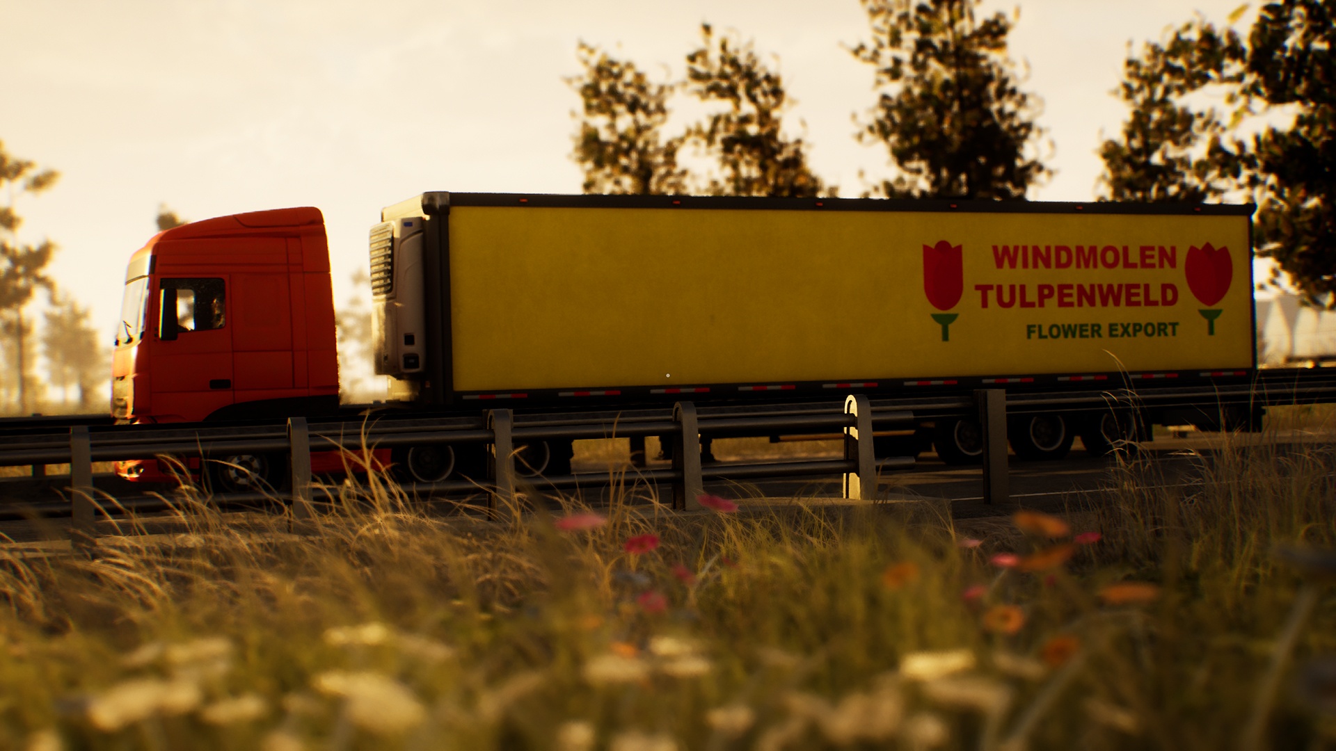 Truck Driver: The Dutch Connection