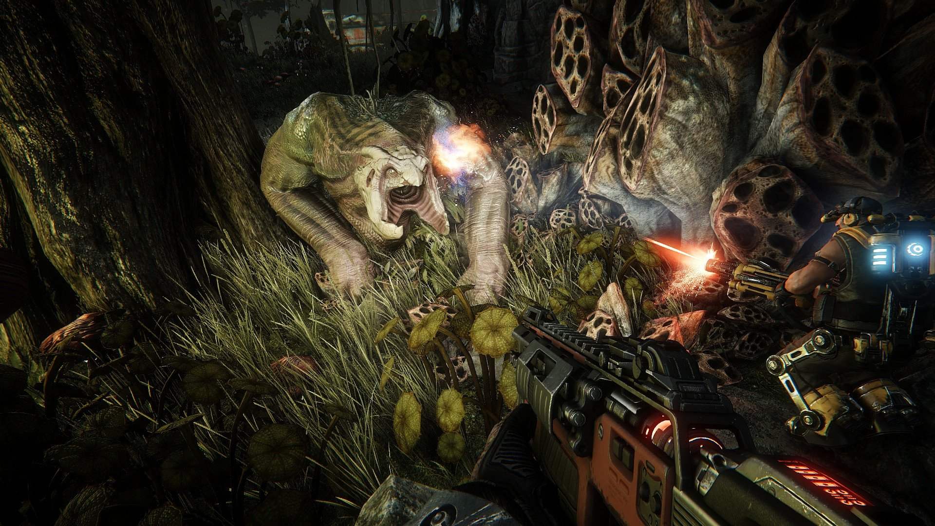 Evolve - Imagen 44