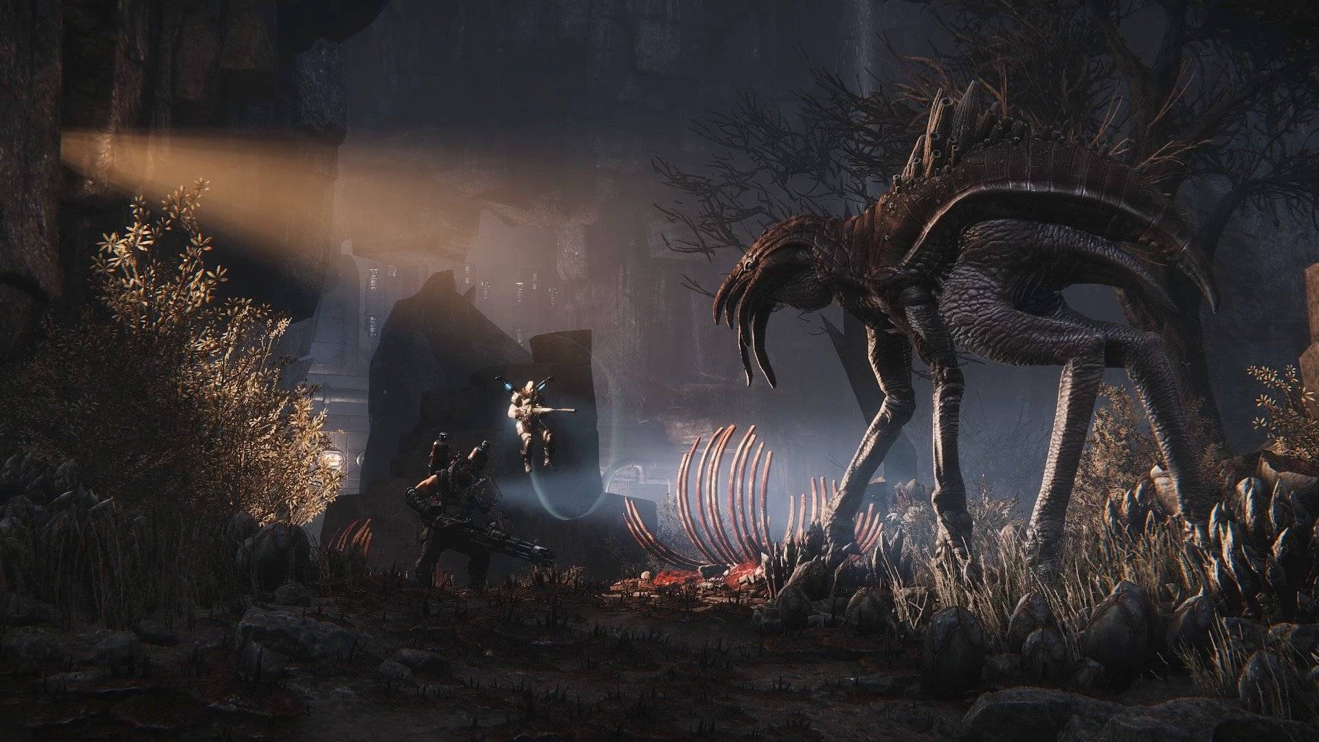 Evolve - Imagen 42