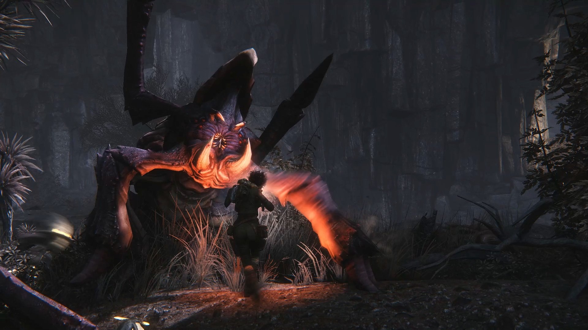 Evolve - Imagen 45