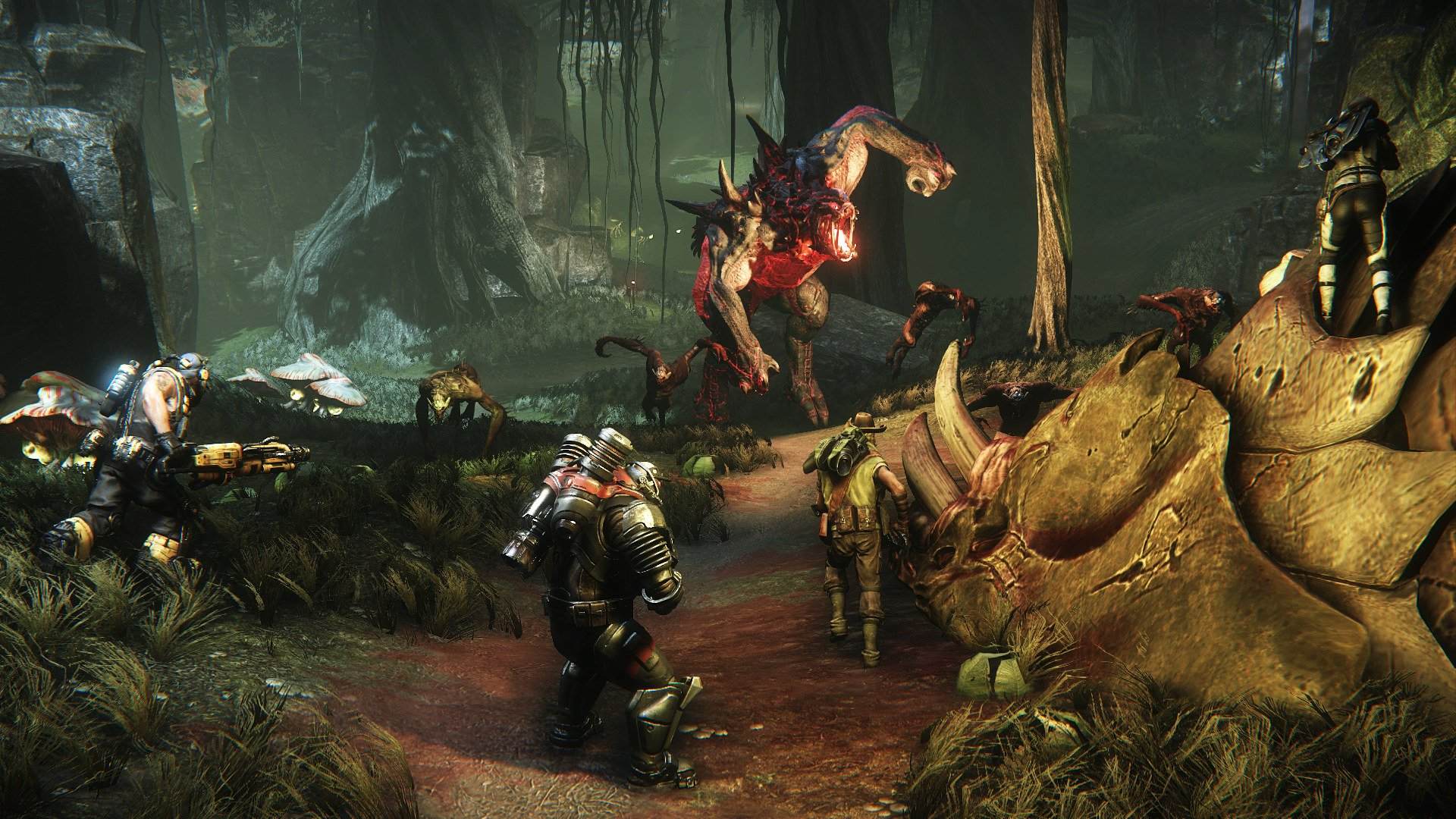Evolve - Imagen 2