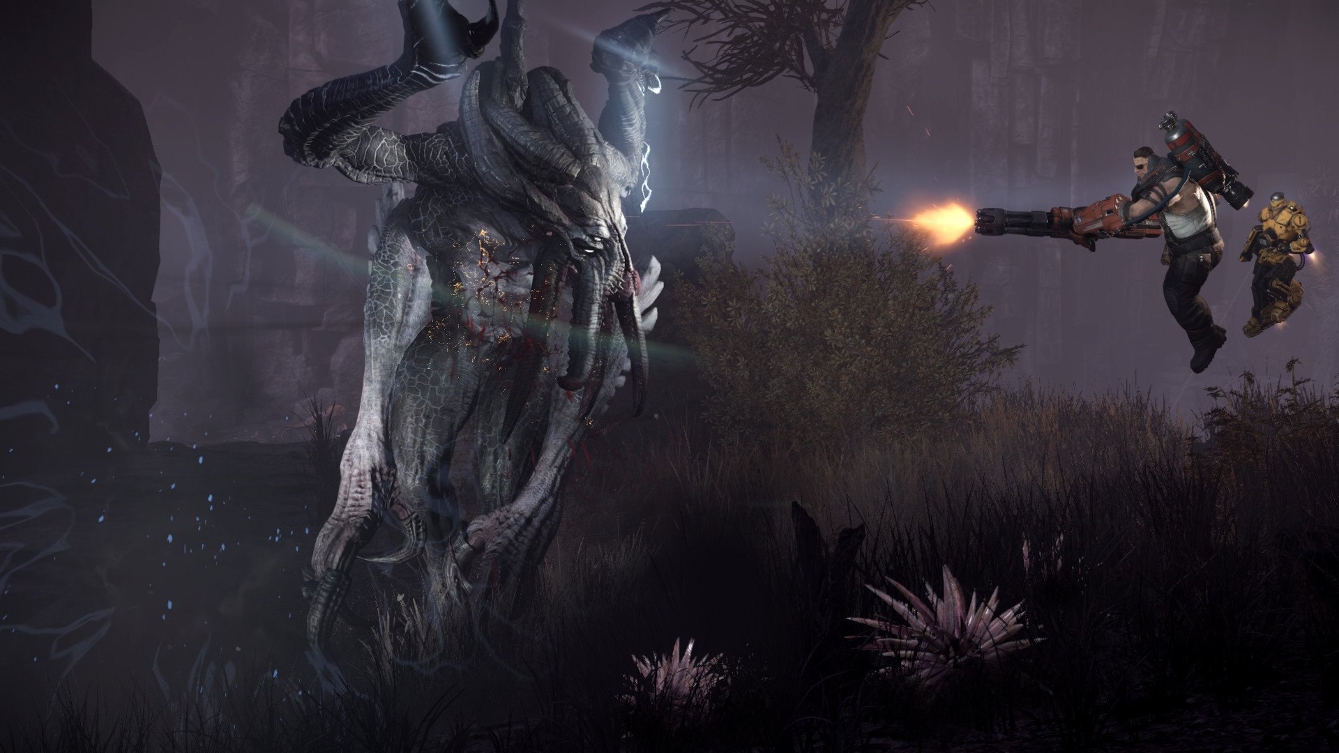 Evolve - Imagen 19