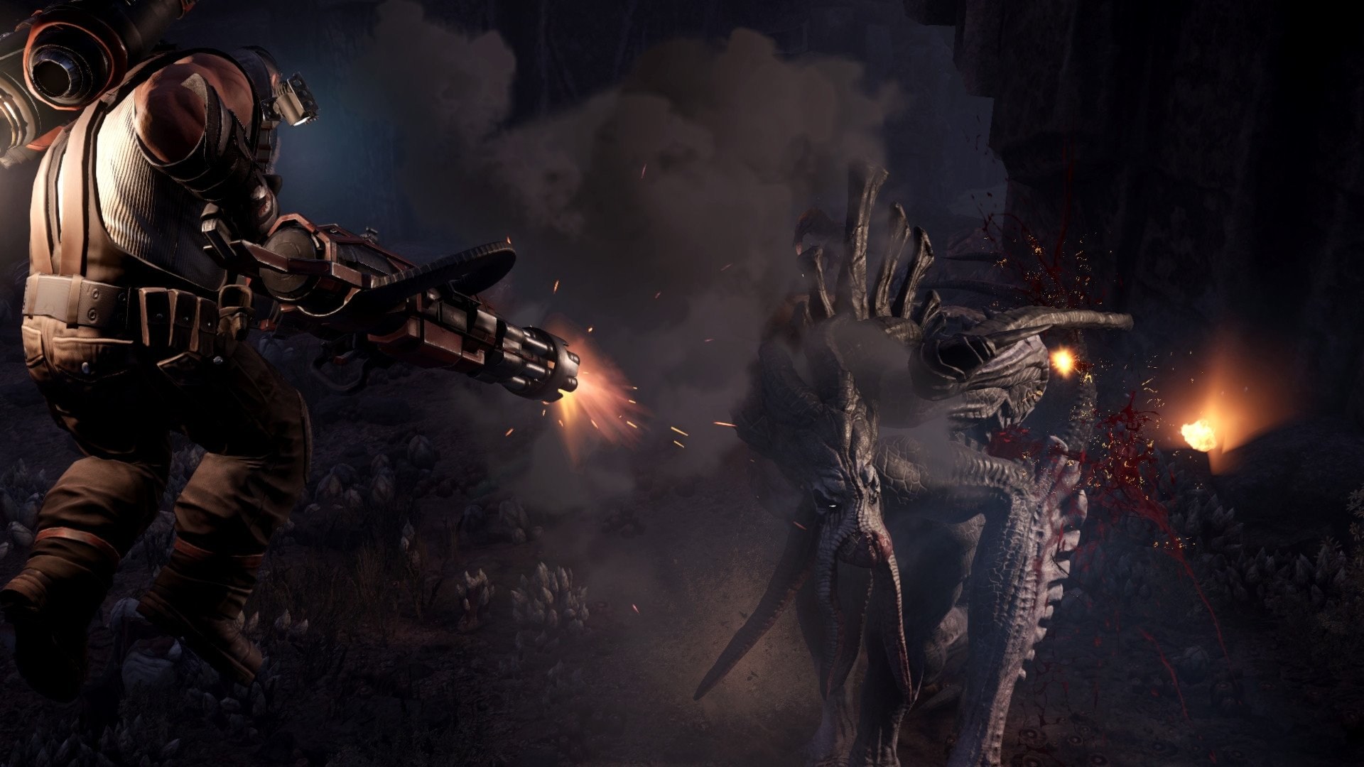 Evolve - Imagen 21