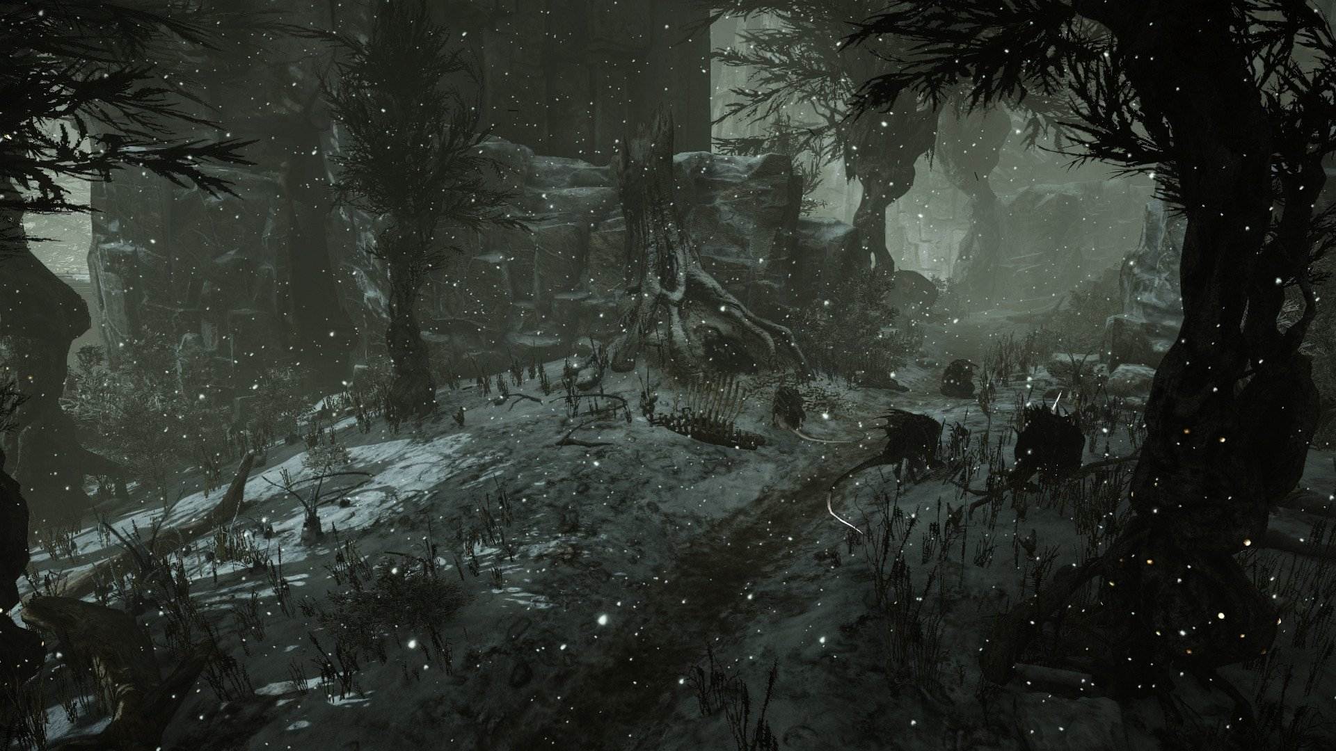 Evolve