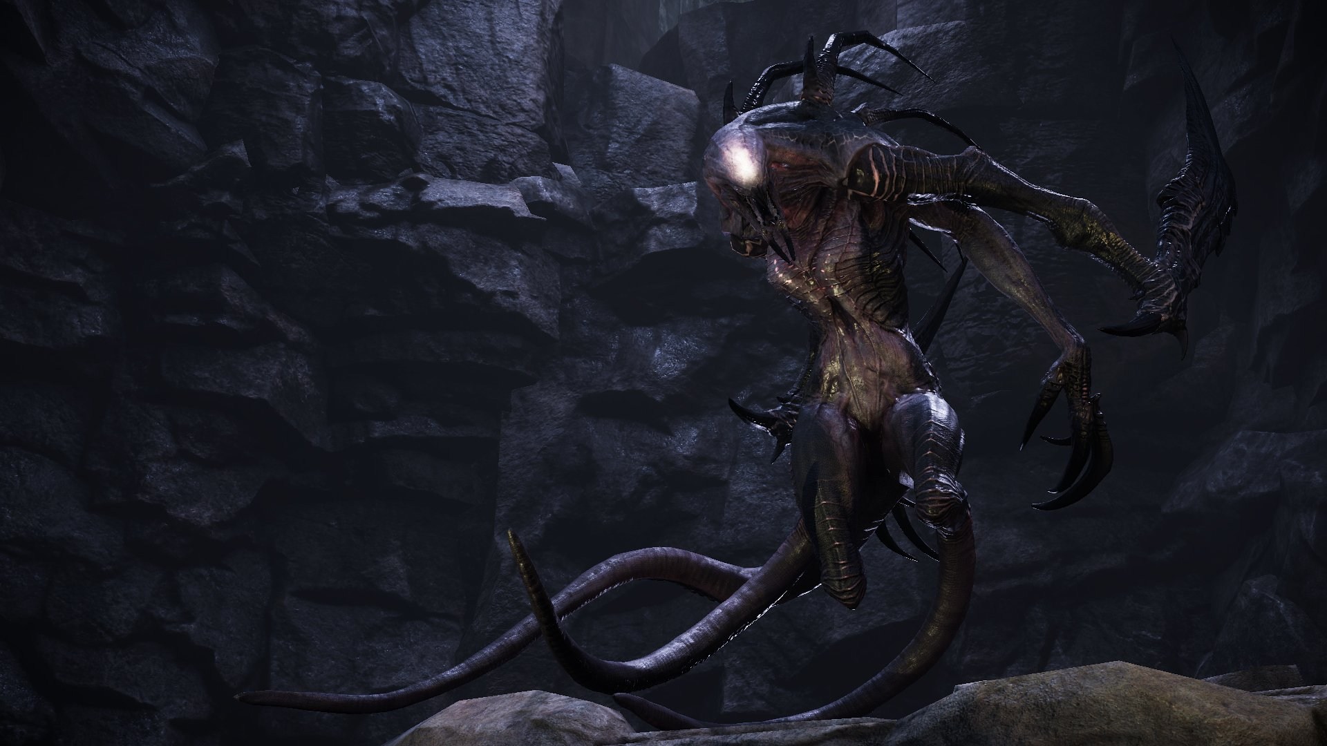 Evolve