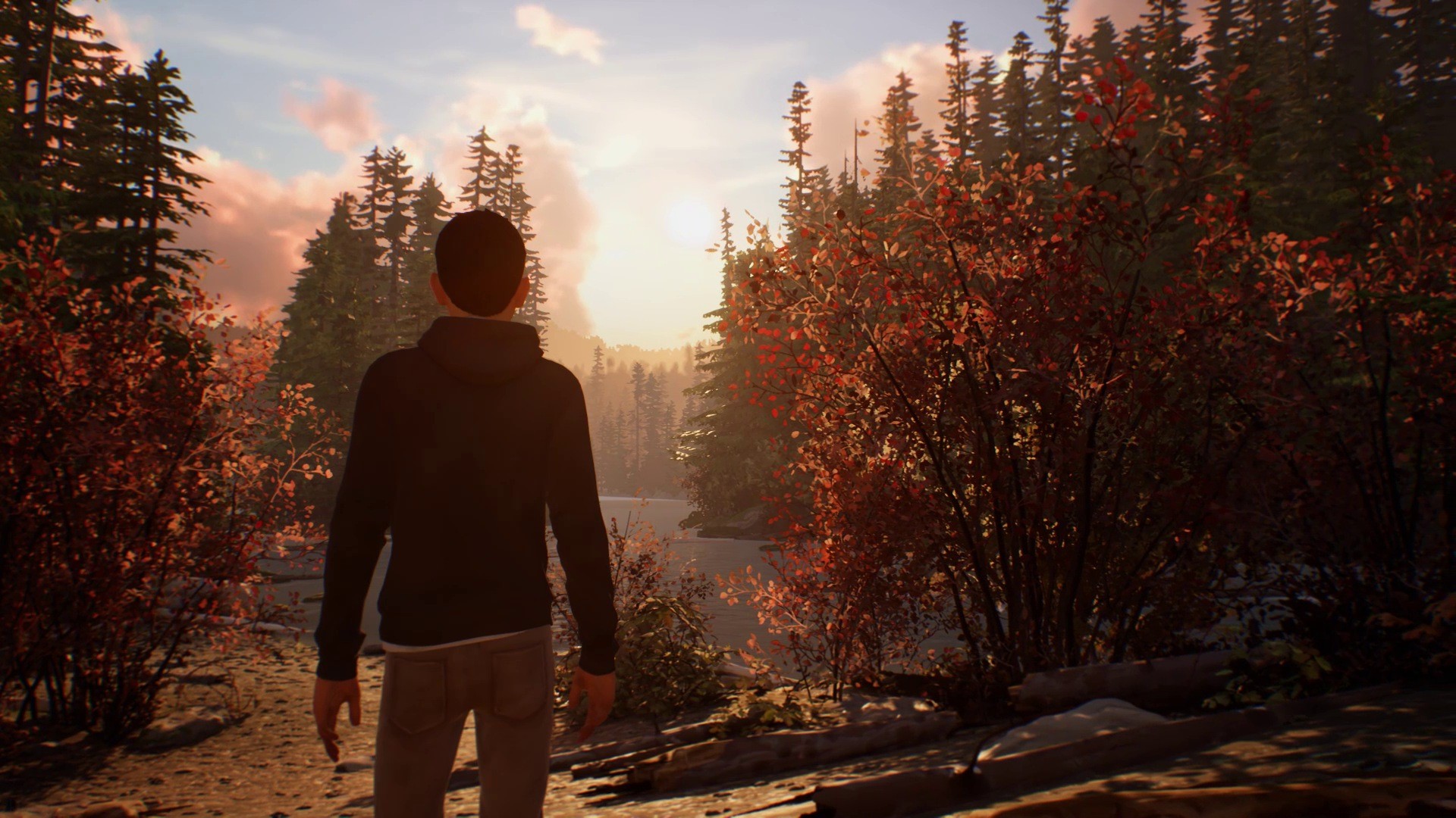 Life is Strange 2 - Episodio 1 - Imagen 35