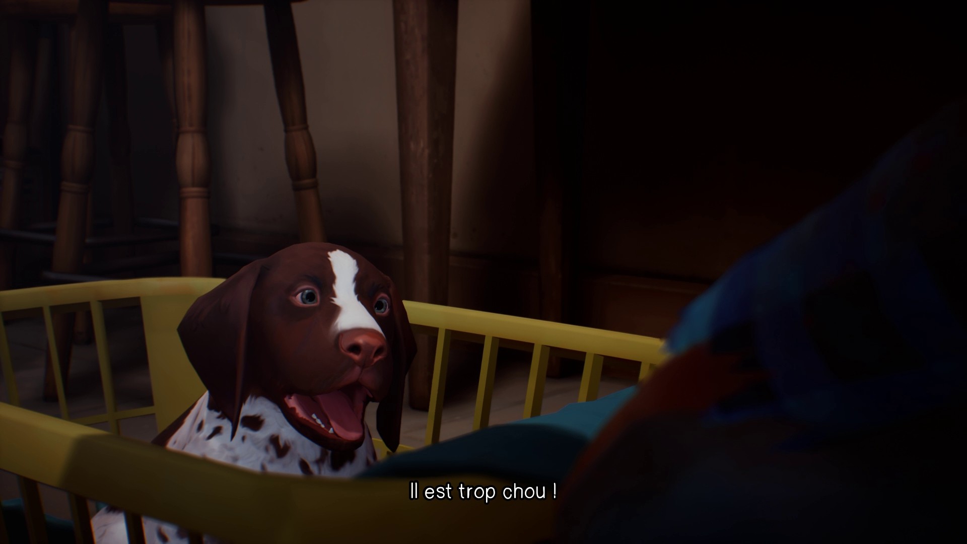 Life is Strange 2 - Episodio 1 - Imagen 21