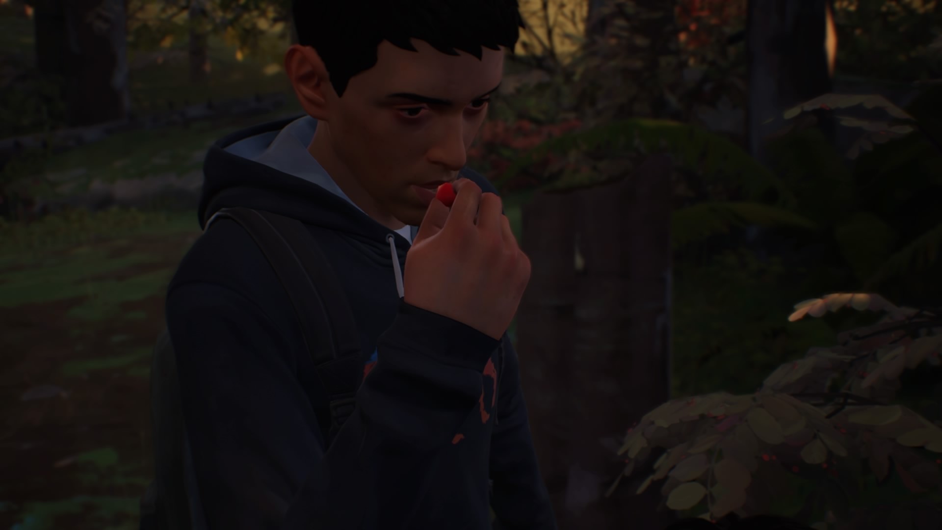 Life is Strange 2 - Episodio 1 - Imagen 28