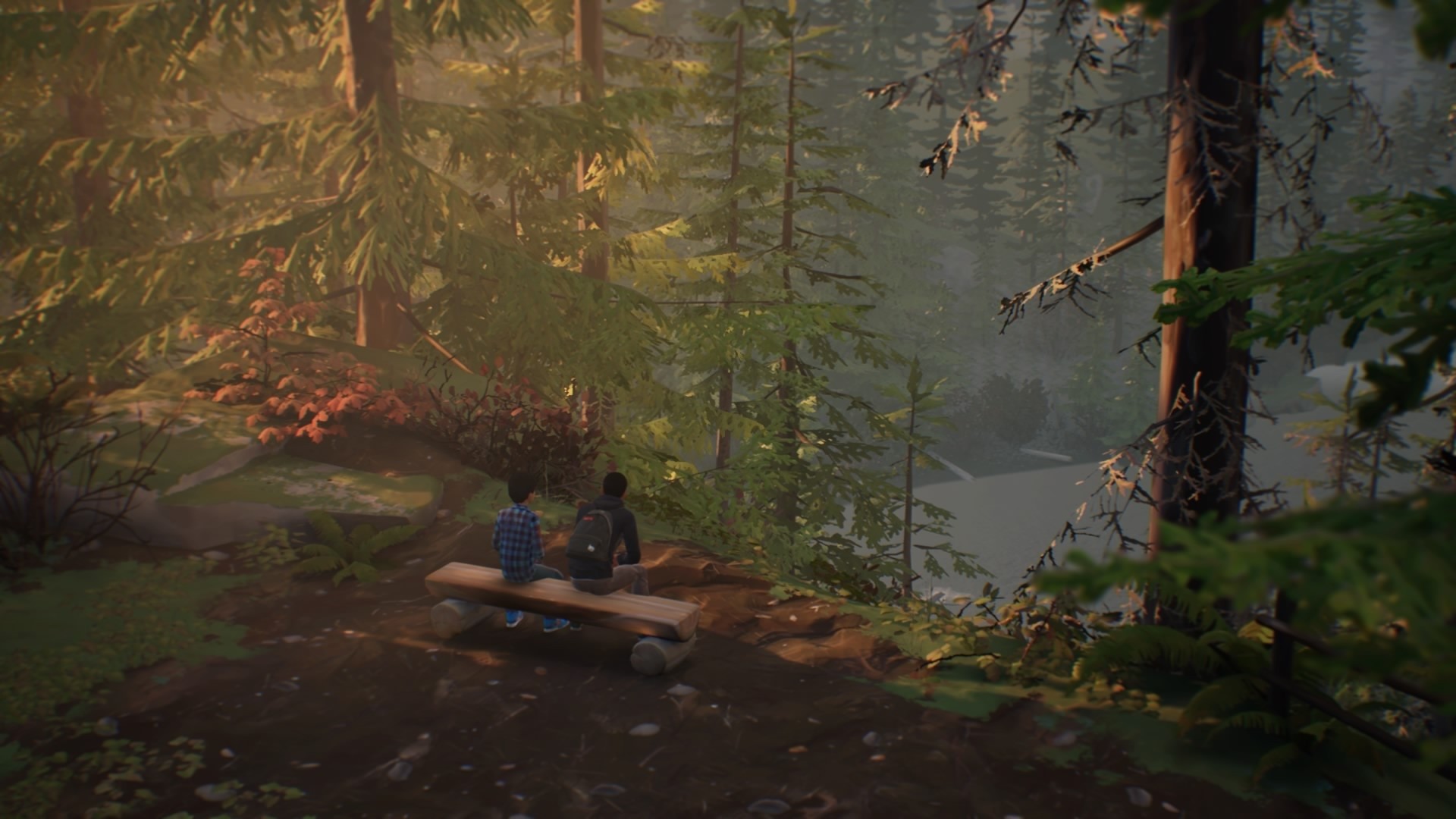 Life is Strange 2 - Episodio 1 - Imagen 31