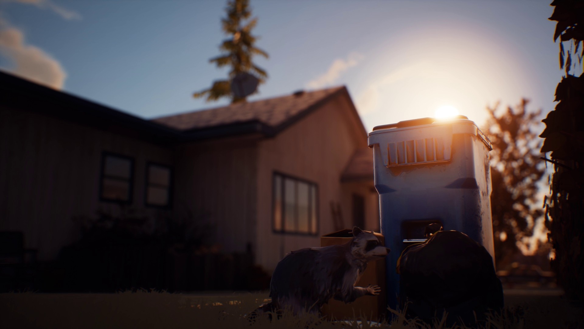 Life is Strange 2 - Episodio 1 - Imagen 5