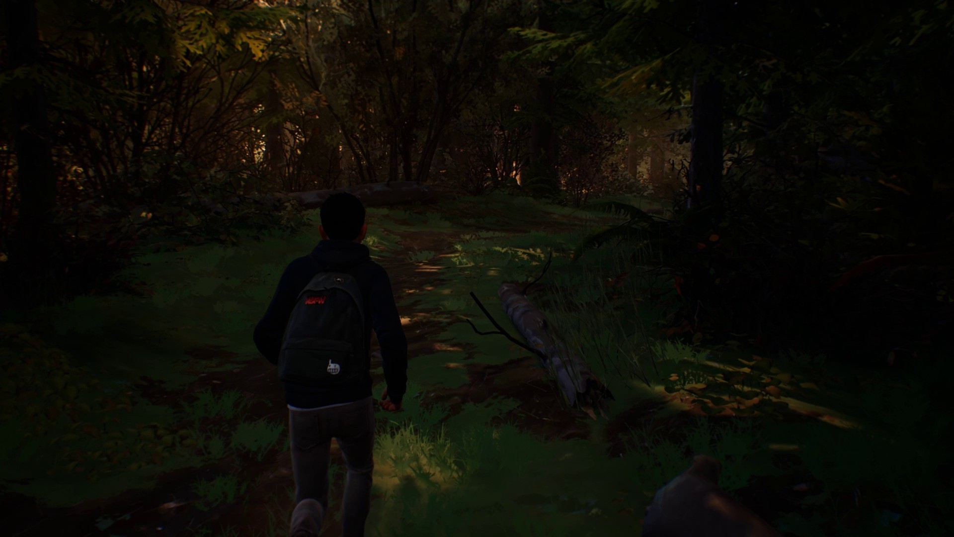Life is Strange 2 - Episodio 1 - Imagen 39