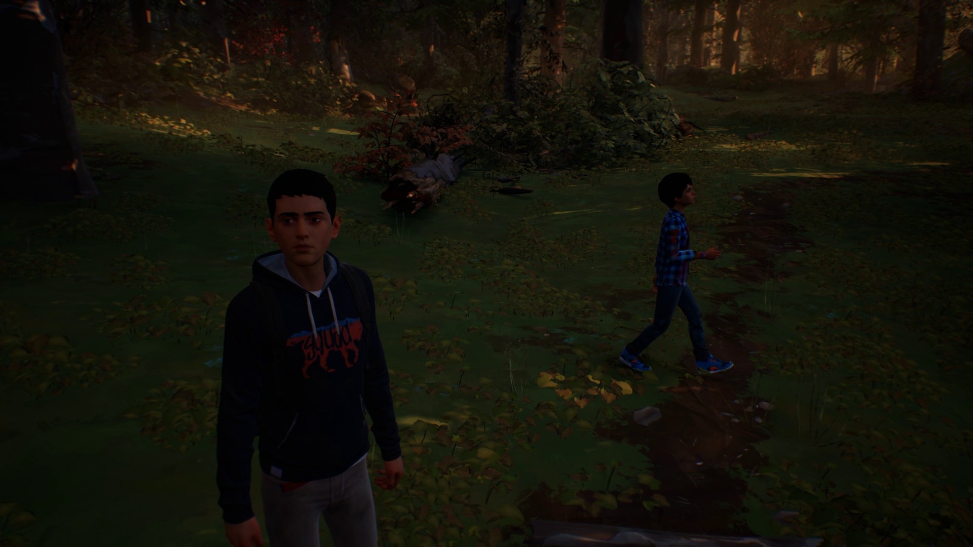 Life is Strange 2 - Episodio 1 - Imagen 40