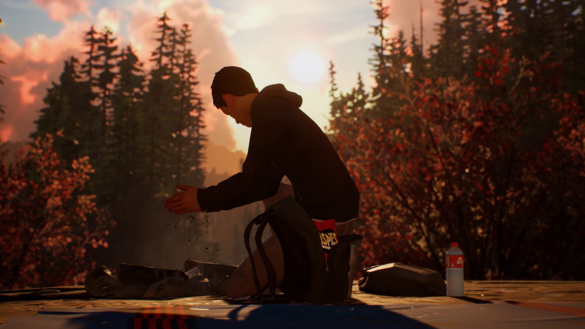 Life is Strange 2 - Episodio 1 - Imagen 23