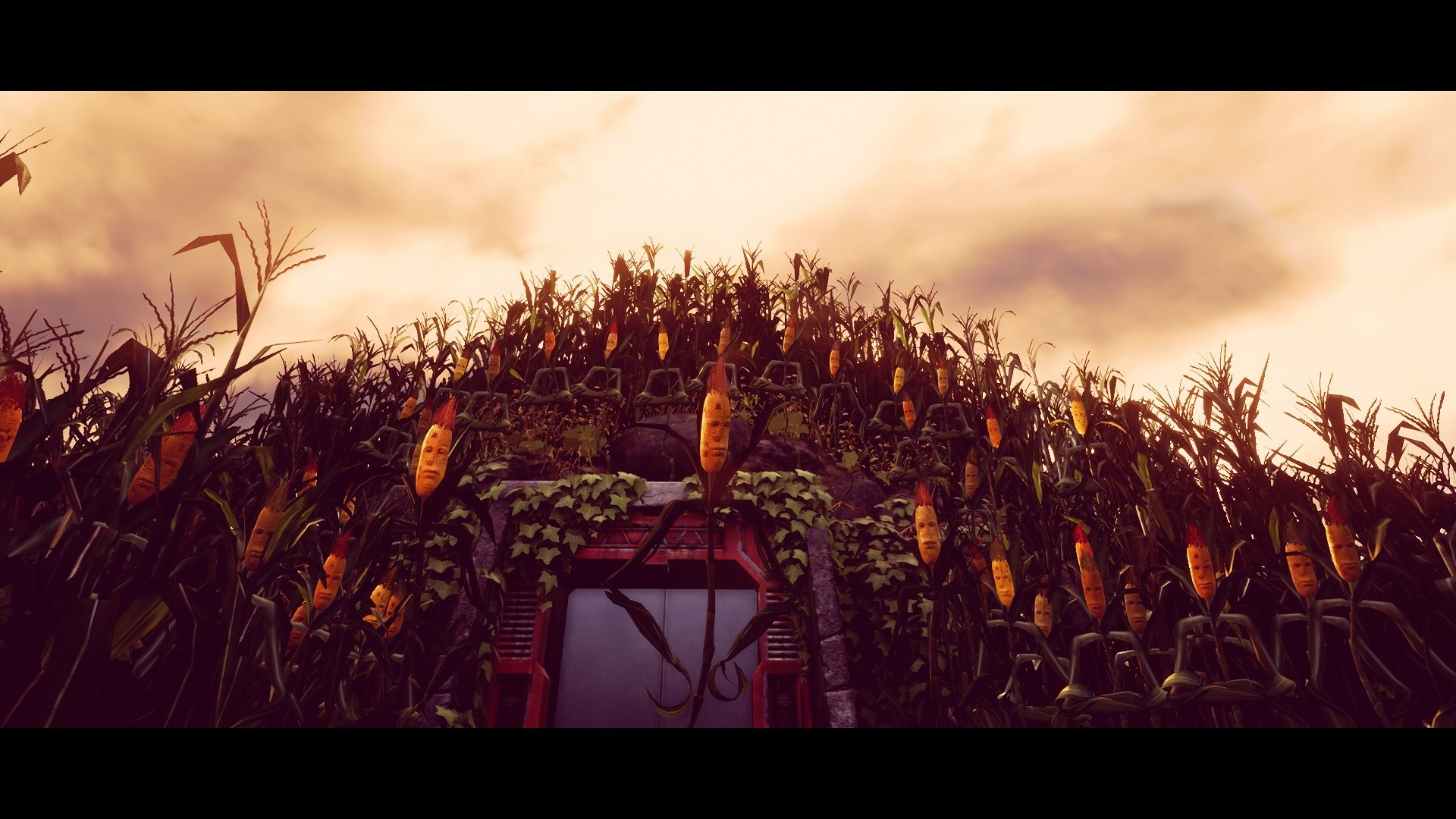Maize