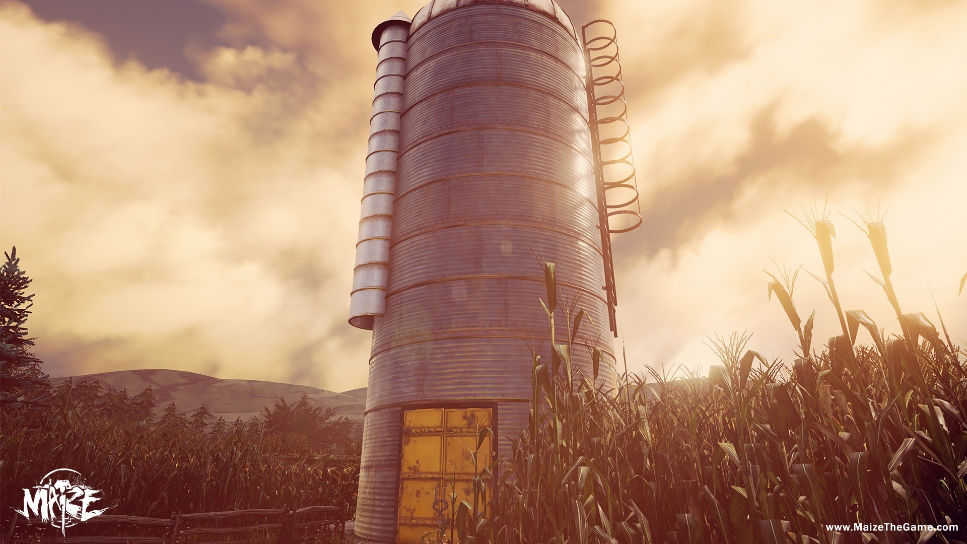 Maize