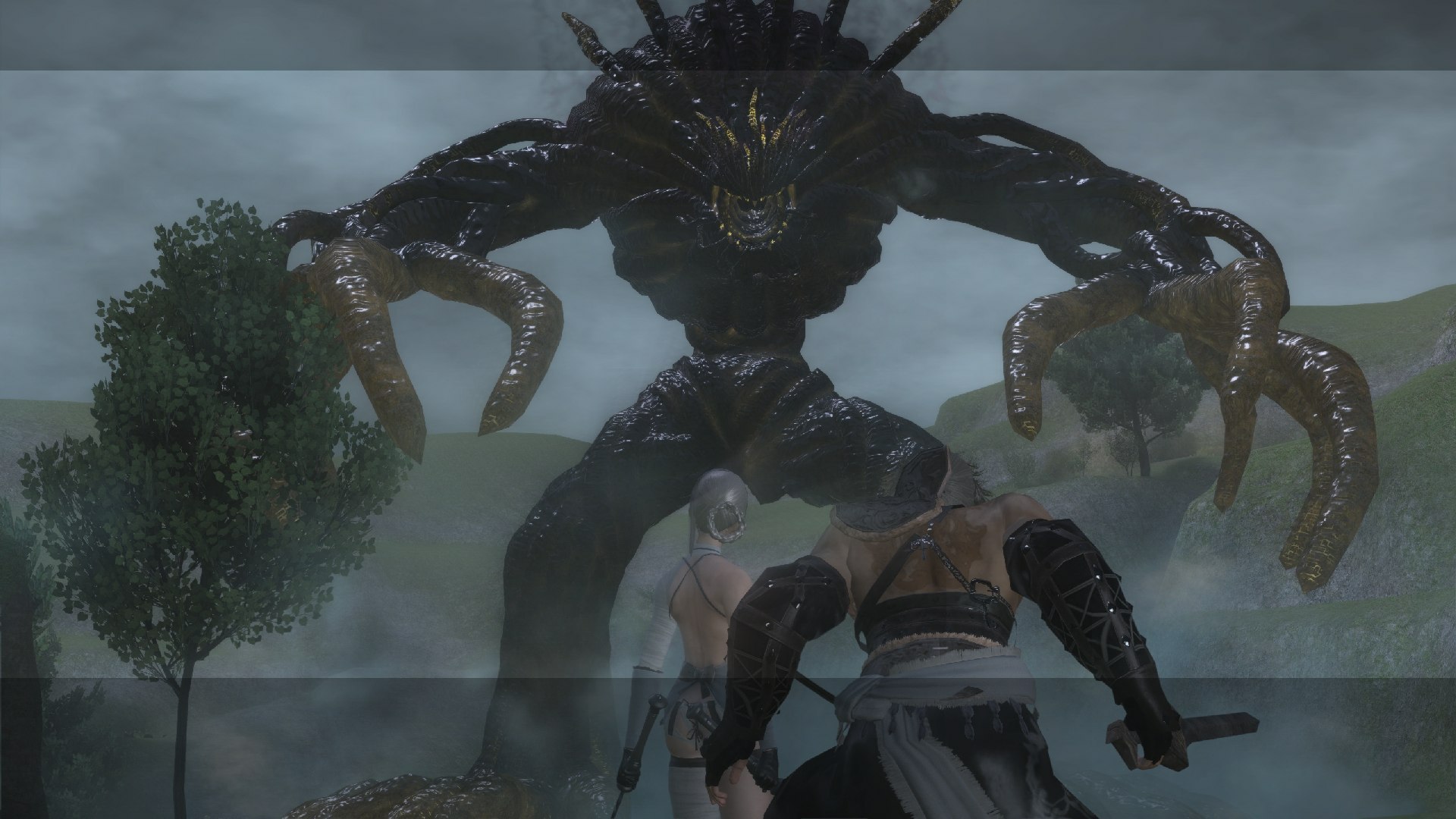 NIER