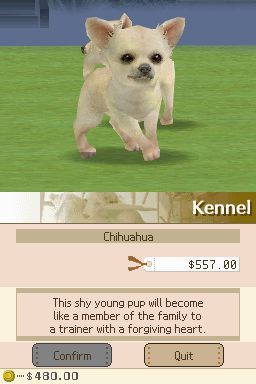 Nintendogs: Teckel y Compañía - Imagen 20