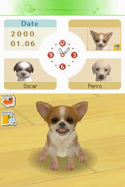 Nintendogs: Teckel y Compañía - Imagen 19