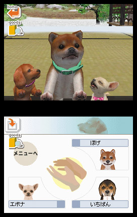 Nintendogs: Teckel y Compañía - Imagen 22