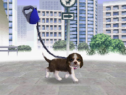 Nintendogs: Teckel y Compañía - Imagen 27