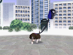 Nintendogs: Teckel y Compañía - Imagen 23