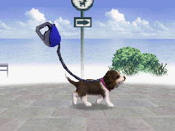 Nintendogs: Teckel y Compañía - Imagen 24