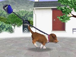 Nintendogs: Teckel y Compañía - Imagen 25