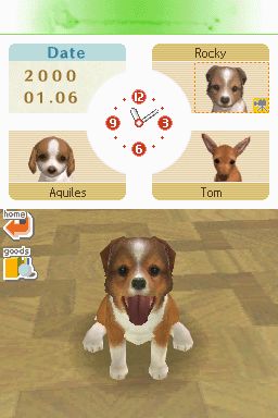Nintendogs: Teckel y Compañía - Imagen 15