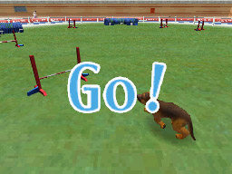 Nintendogs: Teckel y Compañía