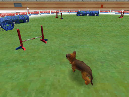 Nintendogs: Teckel y Compañía - Imagen 14